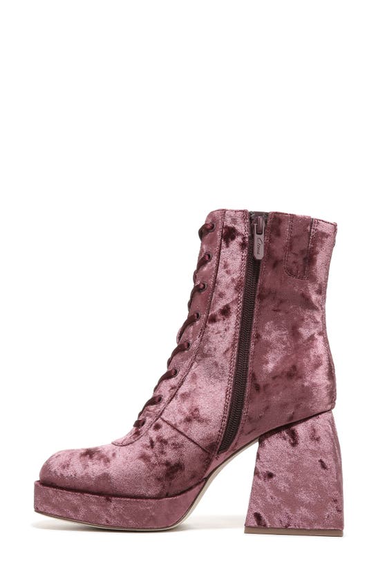 Circus Ny Kia Block Heel Bootie In Red Currant