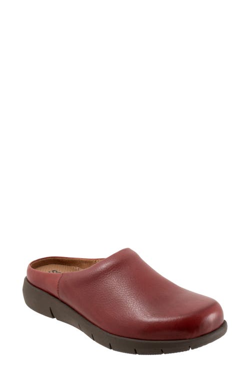 SoftWalk Andria Mule Dark Red Suede at Nordstrom,