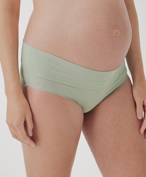 Pact Organic Maternity Foldover Hipster 4-pack In Spring Brights