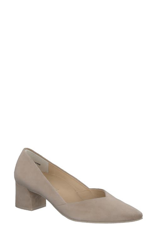 Rendi Pointed Toe Pump in Champagne Suede