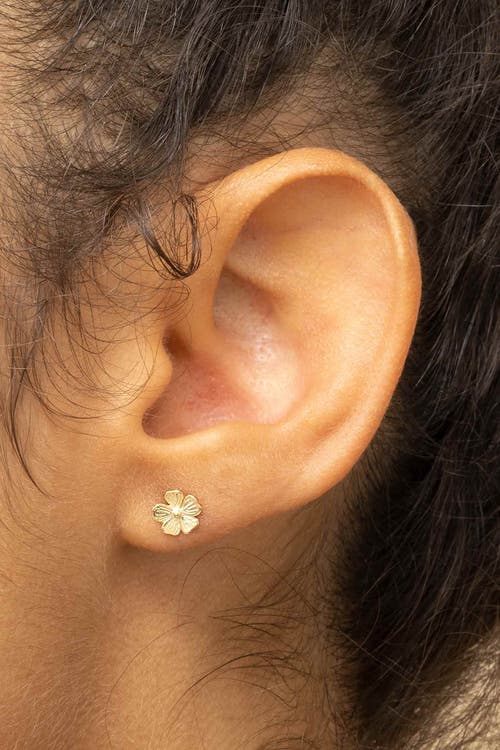 Oradina 14k Yellow Gold Fresh Bouquet Studs In Yellow Gold