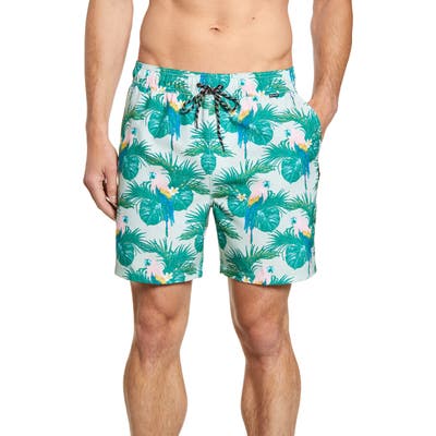 Hurley Sierra Volley Swim Trunks, Green