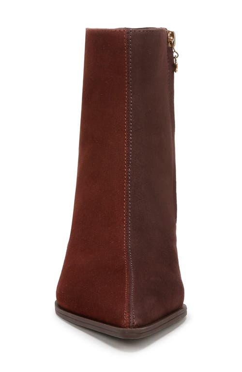 Shop Circus Ny By Sam Edelman Yuki Pointy Toe Bootie In Deep Pecan/chocolate