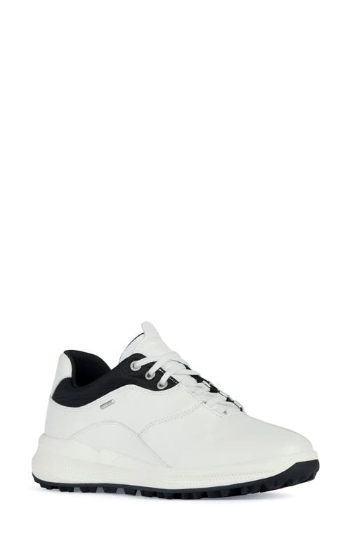 PG1X Amphibiox Waterproof Sneaker in White/Black