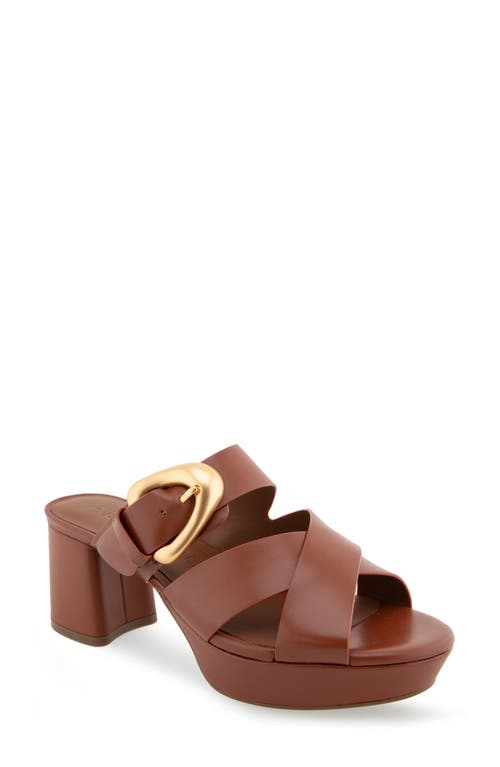 Aerosoles Collin Platform Sandal at Nordstrom,