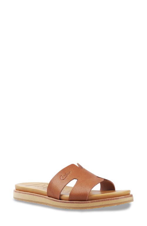 Shop Candies Candie's Mikela Slide Sandal In Cognac