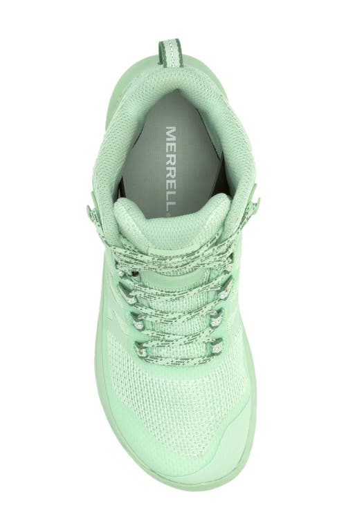 Merrell Antora 3 Mid Trail Running Sneaker In Mentha