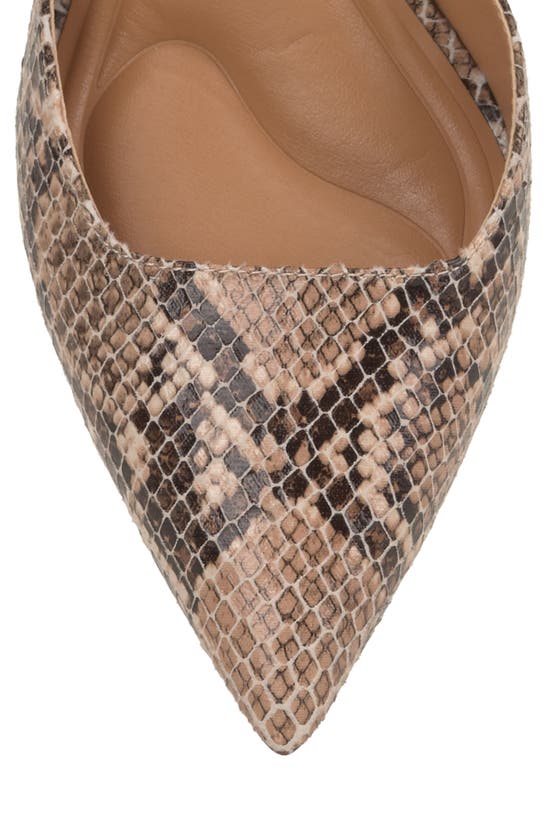 Shop Jessica Simpson Nazela Pointed Toe Ankle Strap Pump In Natural Snake