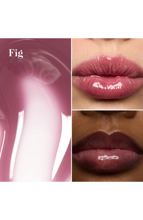 Shop Goop Hydrabarrier Lip Gloss In Fig