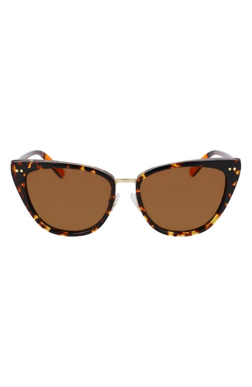 Runwell 55mm Cat Eye Sunglasses in Dark Amber Tortoise