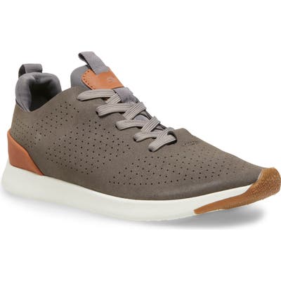 Steve Madden Royale Sneaker, Grey