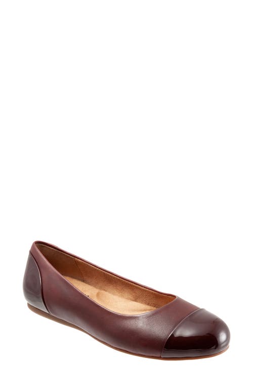 SoftWalk Sonoma Cap Toe Flat in Dark Red Leather