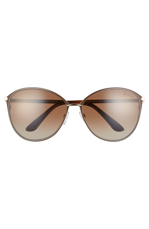 Shop Tom Ford Penelope 59mm Gradient Cat Eye Sunglasses In Shiny Rose Gold/brown