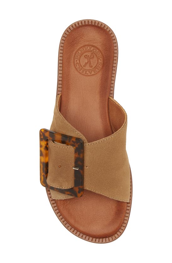 Shop Penelope Chilvers Biarritz Buckle Sandal In Camel