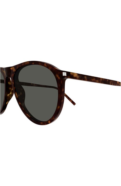 Shop Saint Laurent 56mm Pilot Sunglasses In Havana