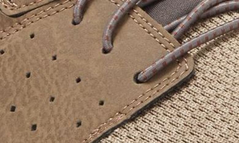 Skechers Solvano Caspian Sneaker In Taupe
