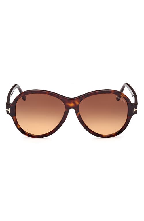 Tom Ford 59mm Round Sunglasses In Dark Havana/gradient Brown