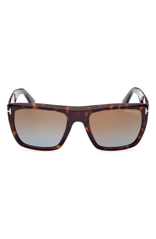 Tom Ford Alberto 55mm Square Sunglasses In Shiny Havana/brown Blue
