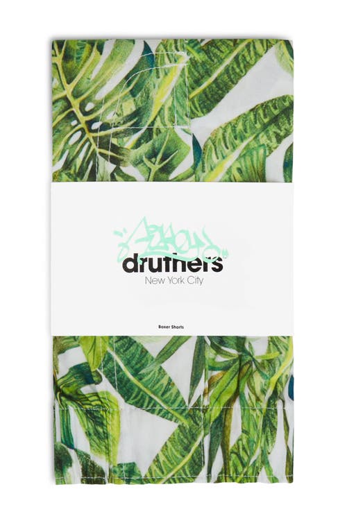 Shop Druthers Nyc Organic Cotton House Plants Boxer Short In White