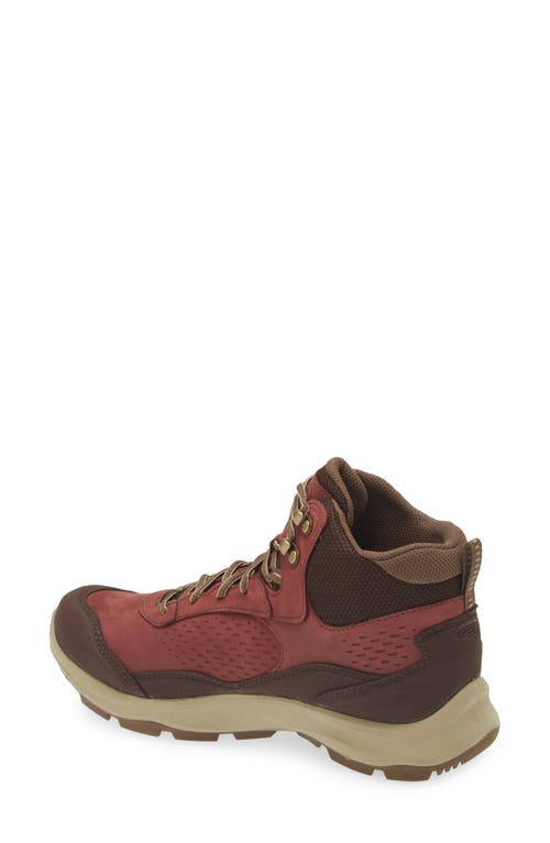 Keen Terradora Explorer Waterproof Hiking Boot In Andorra/java
