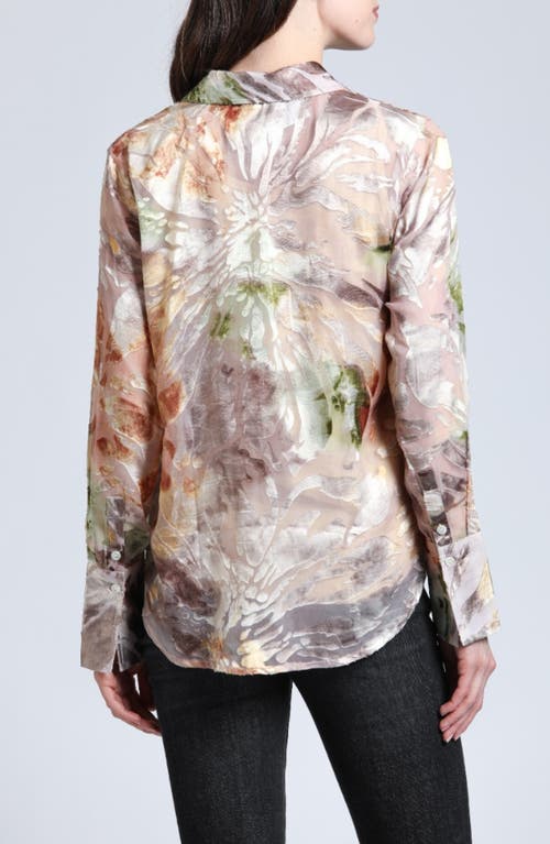 Shop Apny Velvet Burnout Sheer Button-up Shirt In Beige Multi