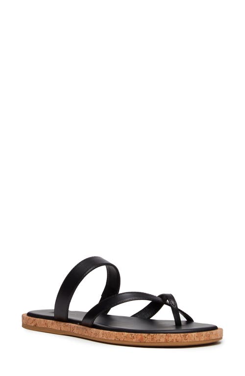 Shop Paige Dianne Slide Sandal In Black