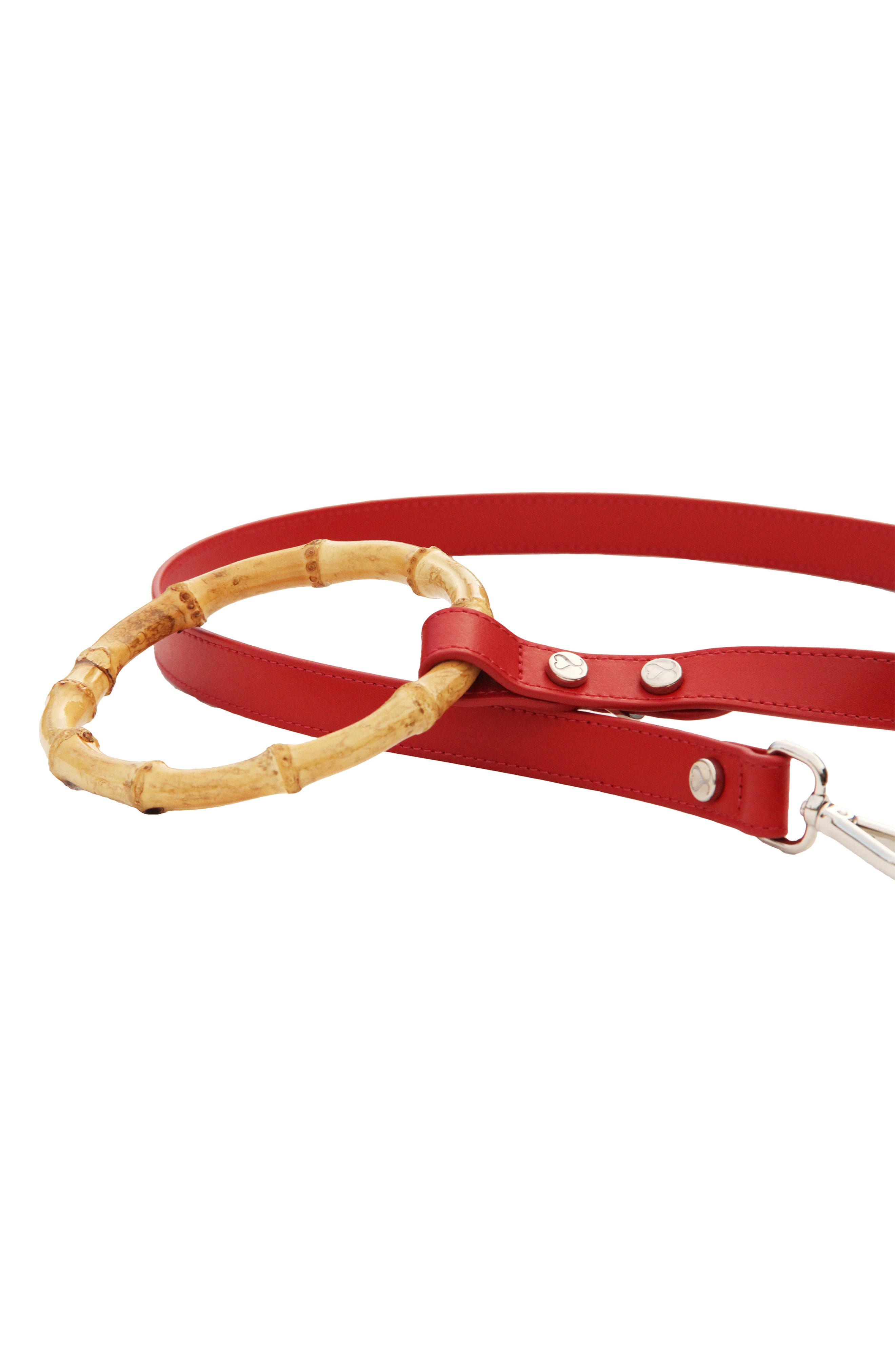 nordstrom dog leash