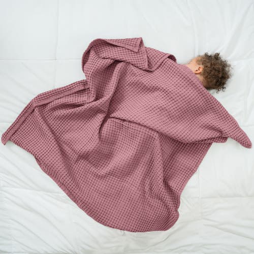 Comfy Cubs Baby Waffle Blankets In Mauve