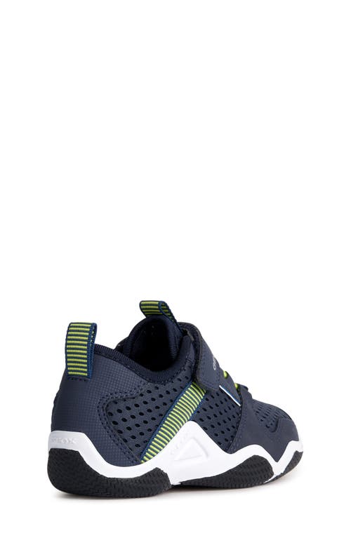 Geox Kids' Wader Sneaker In Navy/lime