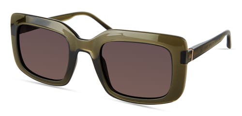 Eco Calluna Sunglasses In Khaki