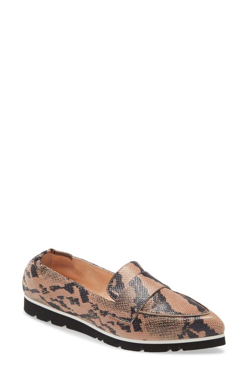 AGL Micro Leopard Print Pointed Toe Loafer in Brown Snake Print