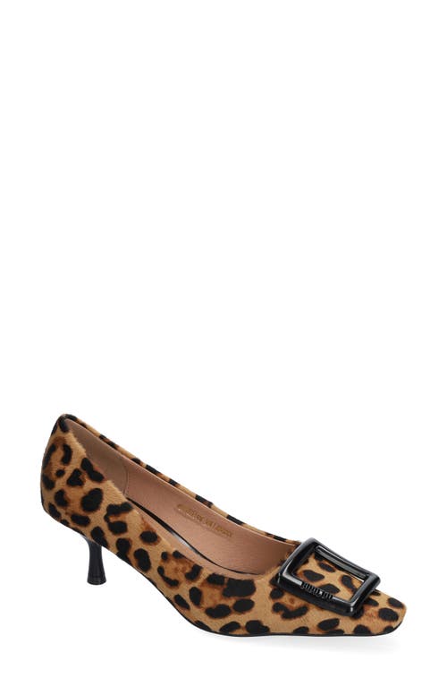 Bibi Lou Poznan Genuine Calf Hair Kitten Heel Pump In Leopard Print Calf Hair