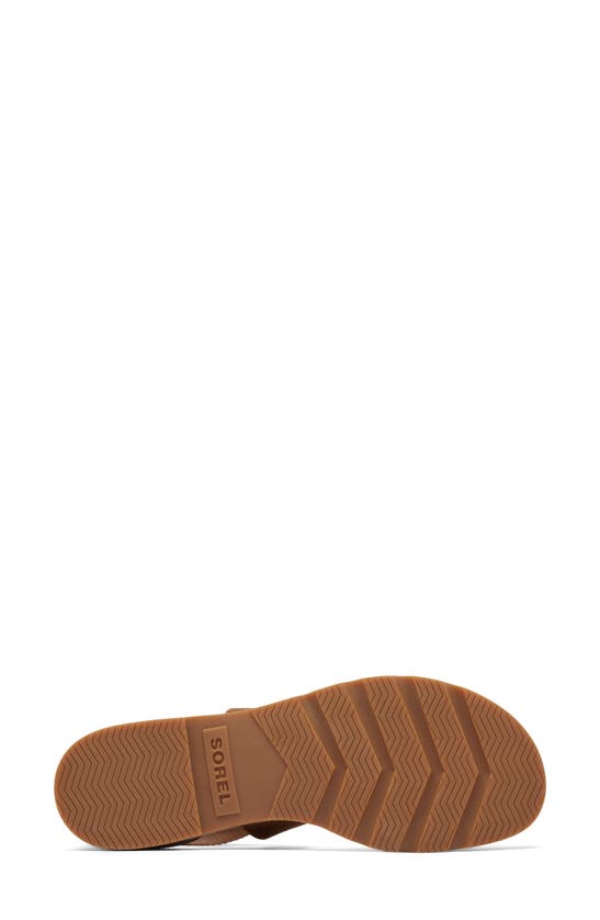 Shop Sorel Ella Iii Sandal In Velvet Tan/ Gum 2