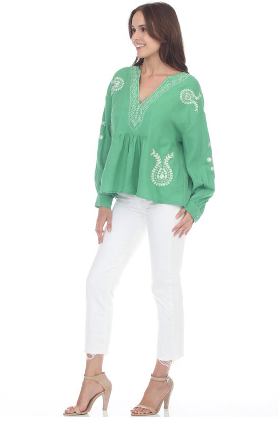 Shop Rain Embroidered Long Sleeve Tunic In Kelly Green