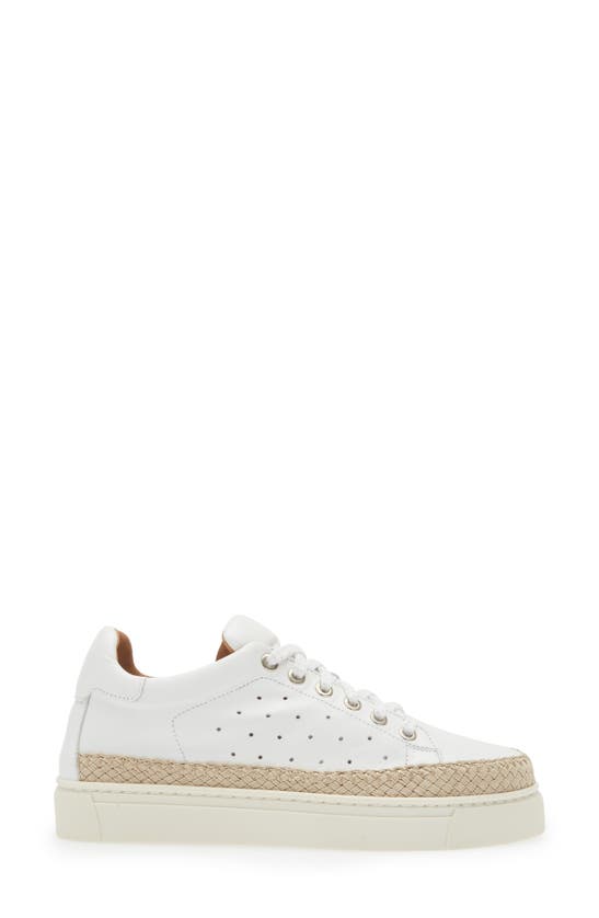 Shop The Flexx Hi Tide Platform Sneaker In Whitfoulrd