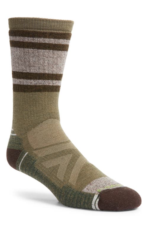 Smartwool Hike Full Cushion Lolo Trail Wool Blend Crew Socks In Winter Moss