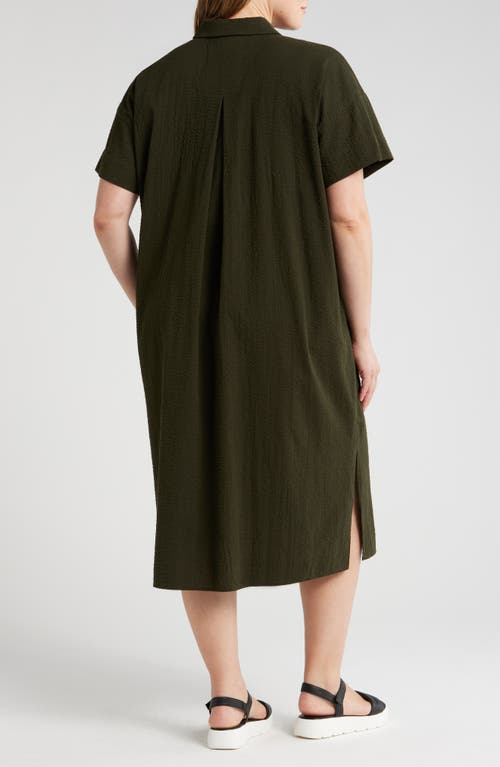 Shop Eileen Fisher Short Sleeve Organic Cotton Shirtdress In Seaweed