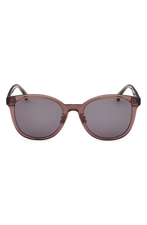 Shop Max Mara 55mm Round Sunglasses In Shiny Dark Brown/smoke