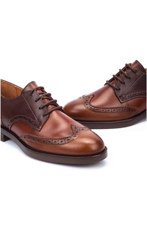 Shop Pikolinos Puertollano Wingtip Derby In Cuero