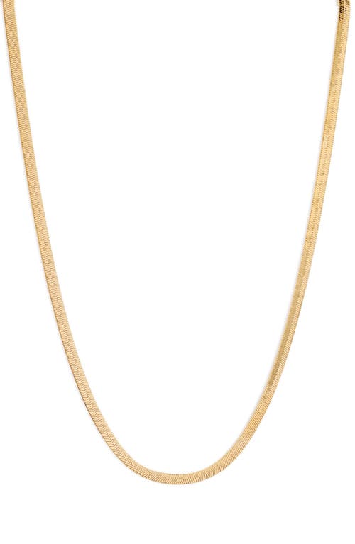 Bracha Skinny Monte Carlo Chain Necklace in Gold