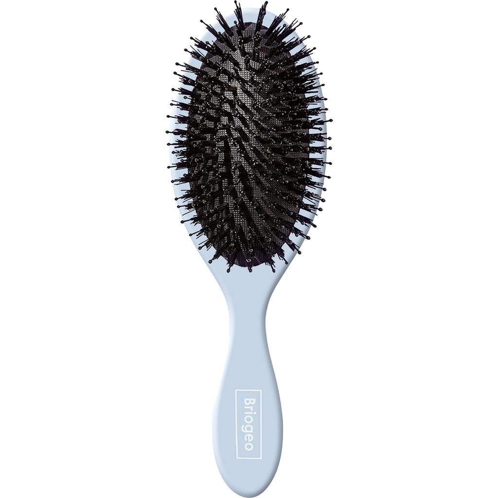 Briogeo Vegan Boar Bristle Hair Brush In No Color