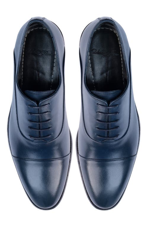 Vellapais Gambo Cap Toe Oxford Shoes In Navy Blue