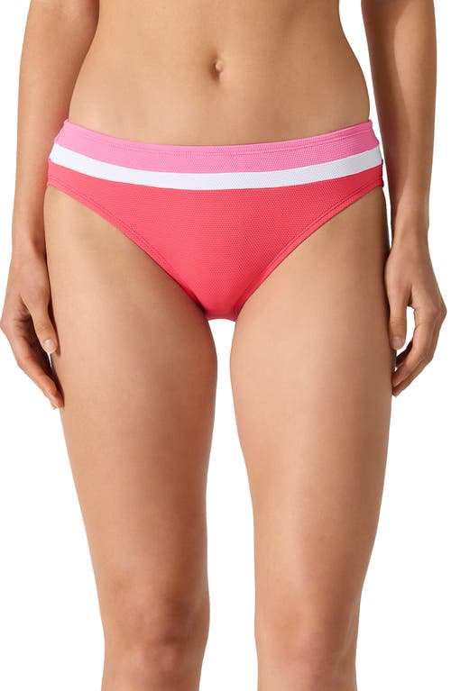 Island Cays Colorblock Hipster Swim Bottoms in Coral Coast