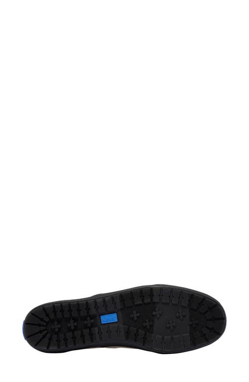 Keds ® Champion Toe Rand Sneaker In White/ Black