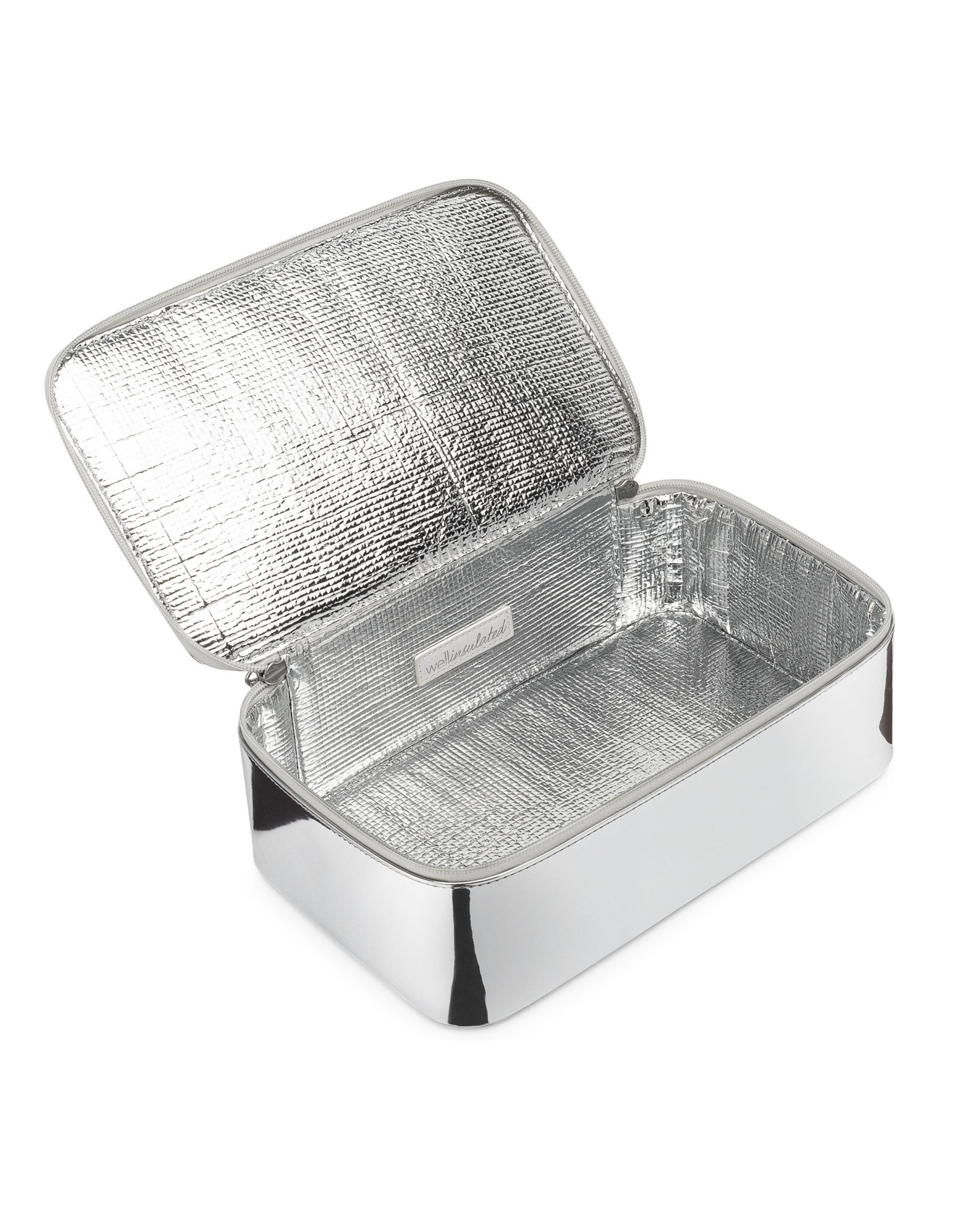 WELLinsulated Performance Travel Case in Silver 