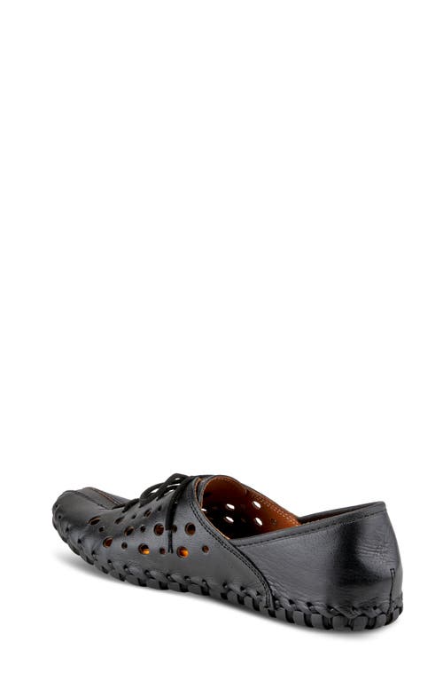 Spring Step Moonwalk Lace-up Shoe In Black