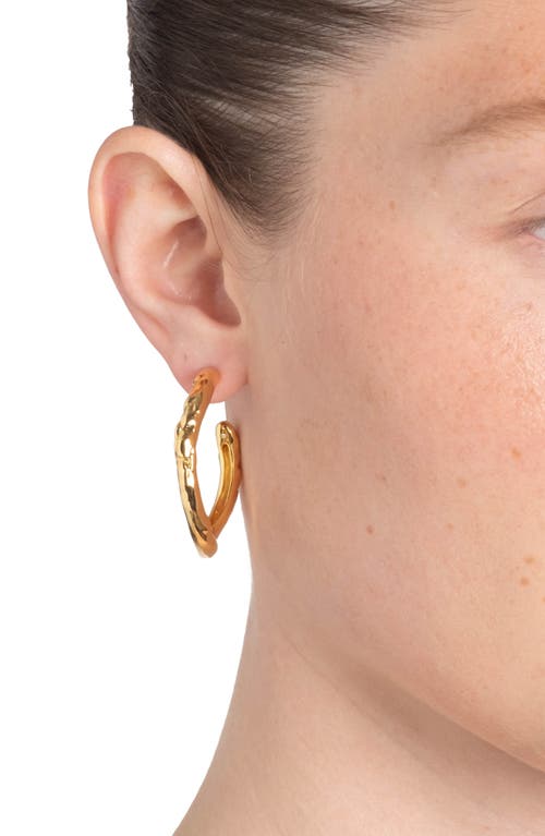 Shop Alexis Bittar Brut Textured Tube Hoop Earrings In Gold