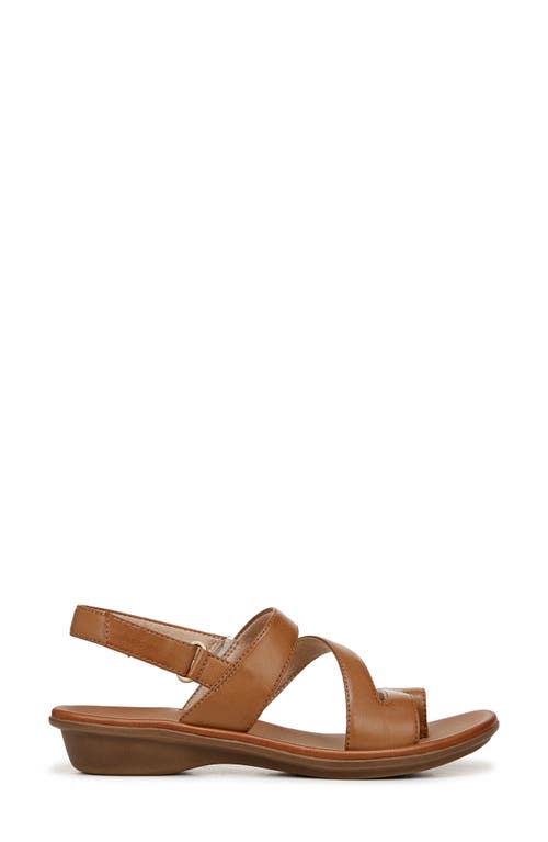 Soul Naturalizer Shakina Toe Loop Slingback Sandals In English Tea Brown Faux Leather