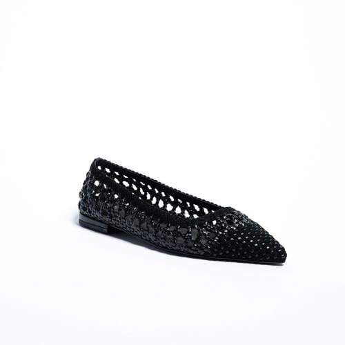 Shop Cecelia New York Brie  Woven Point Toe Ballet Flat In Black Suede