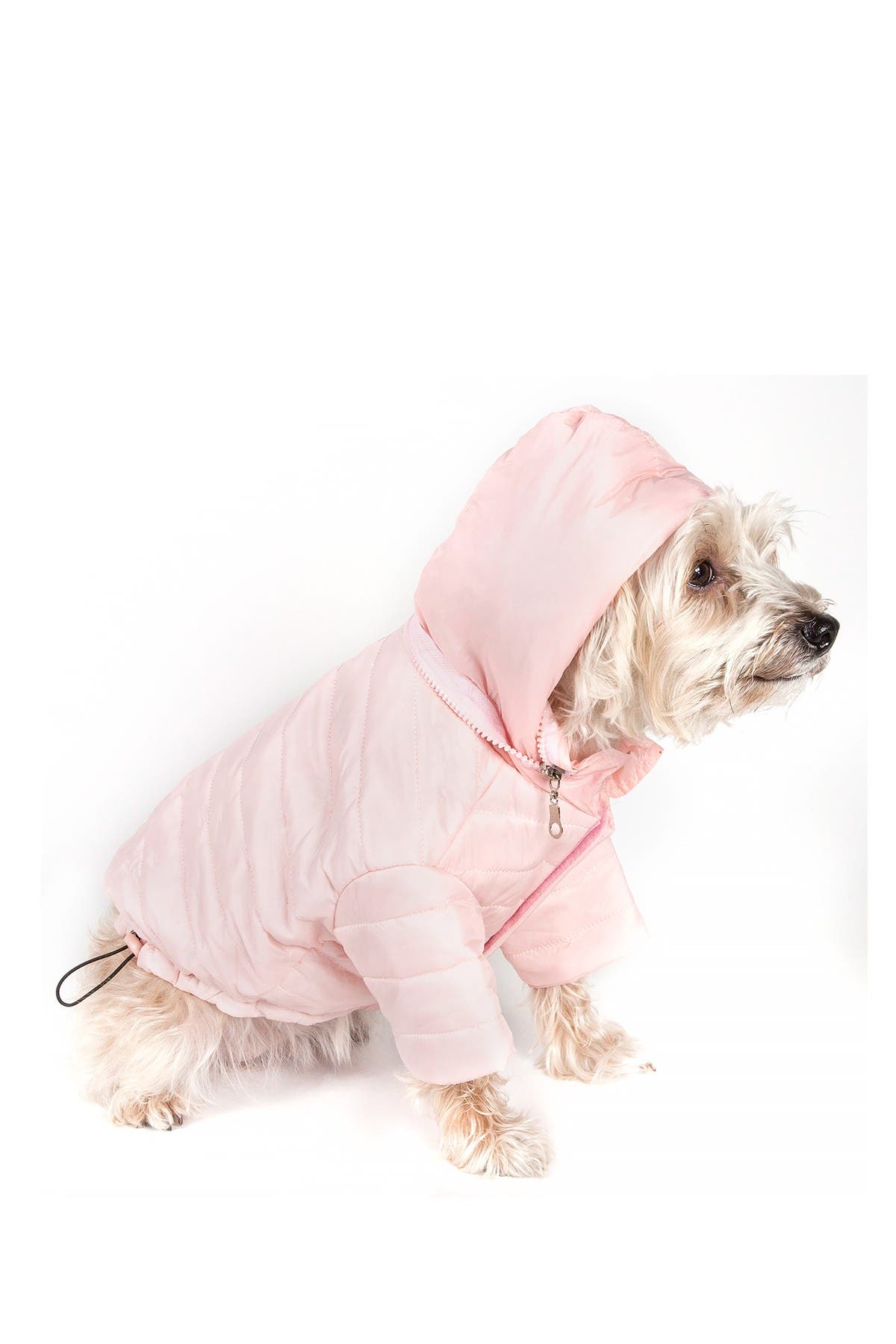 serenity dog clothes